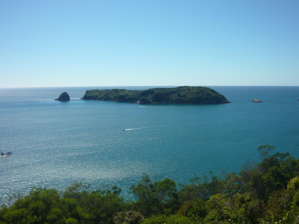 view of islands in sea from above cathedral cove coromandel penisula