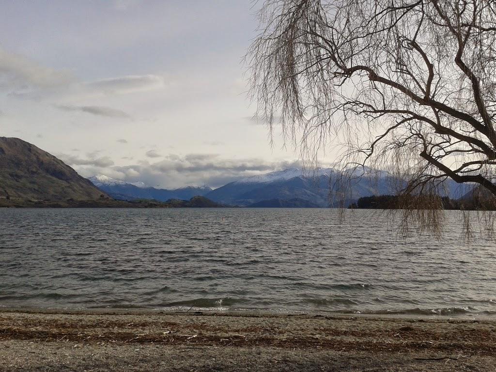 Wanaka tree and late south island road trip itinerary