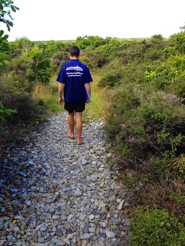 Our barefoot guide during our Kapiti Island visit