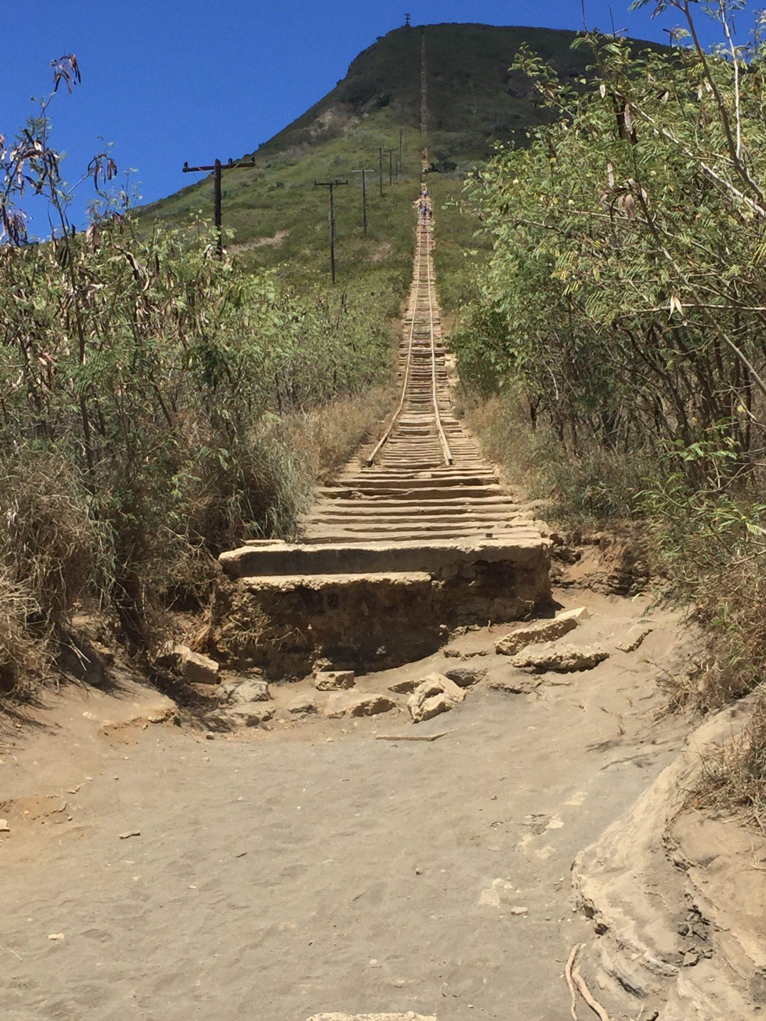 koko trail steps