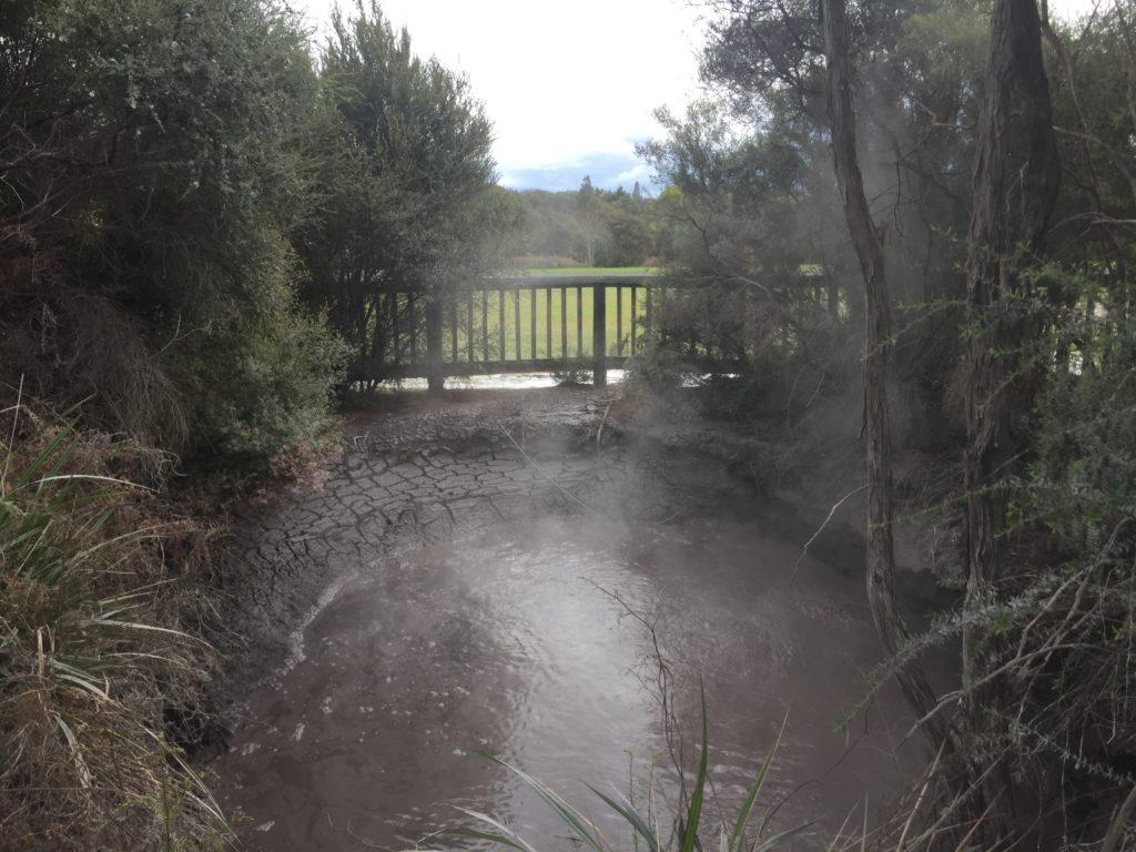 Kuirau Park Hot Pools Rotorua