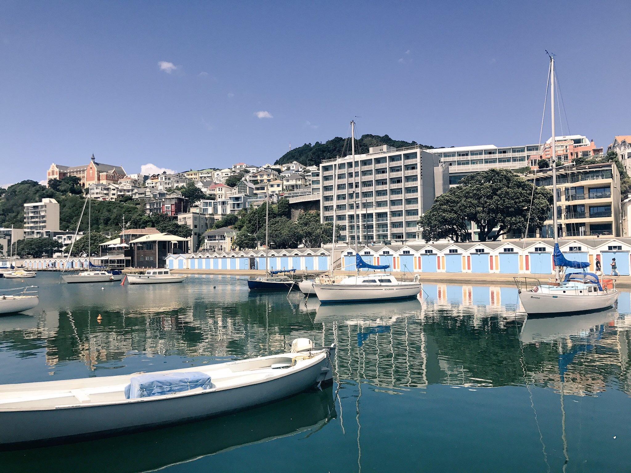 The cost of living in Wellington, New Zealand Sarah Sees The World