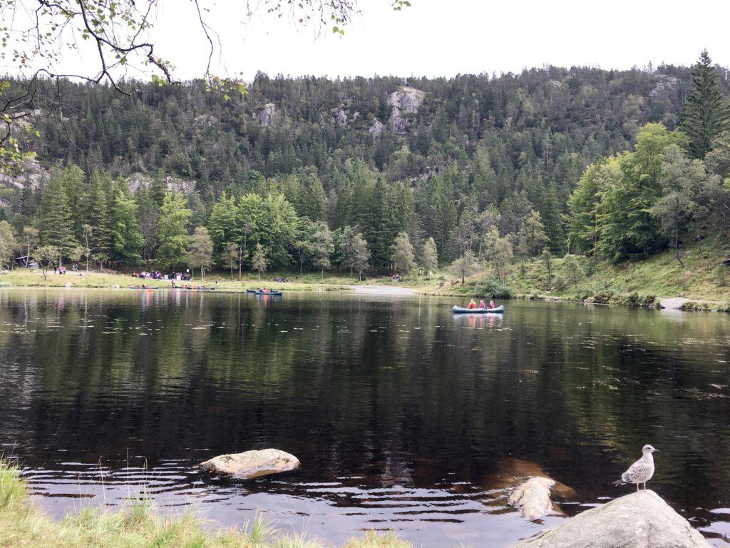 Lake Mount Floyen 36 hours in Bergen