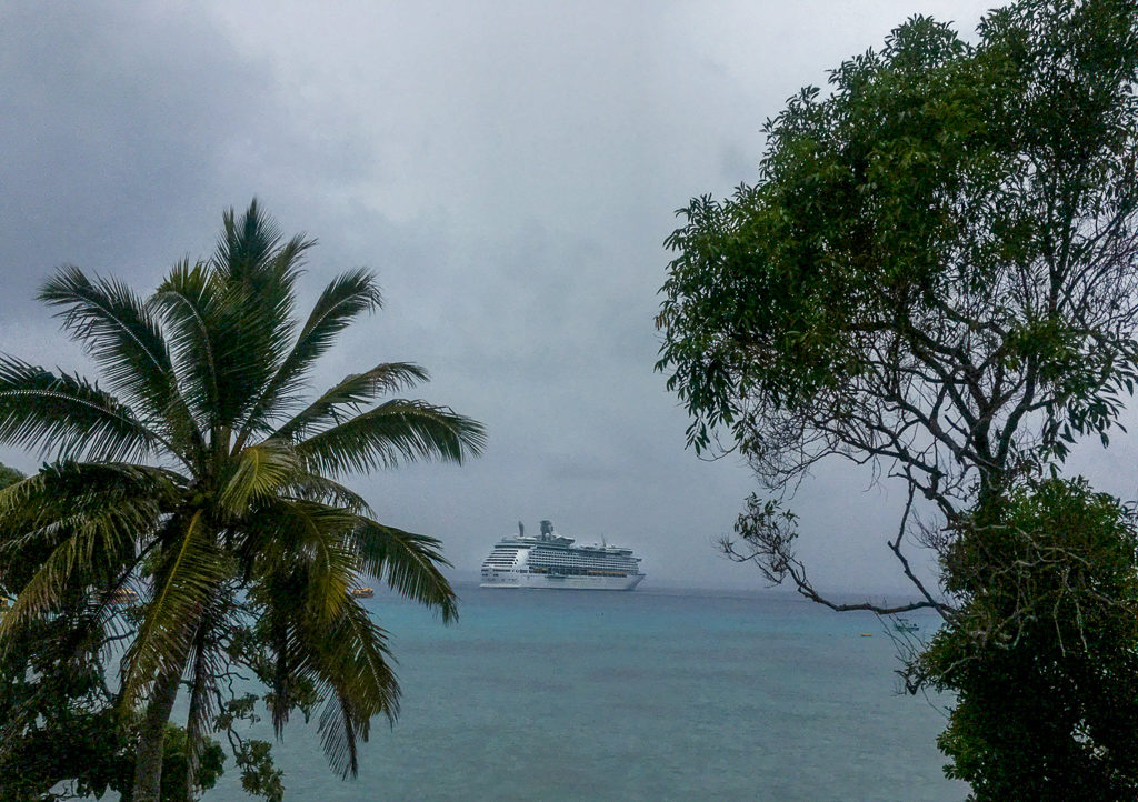 cruise ship in distance on ocean framed by two green trees on shore