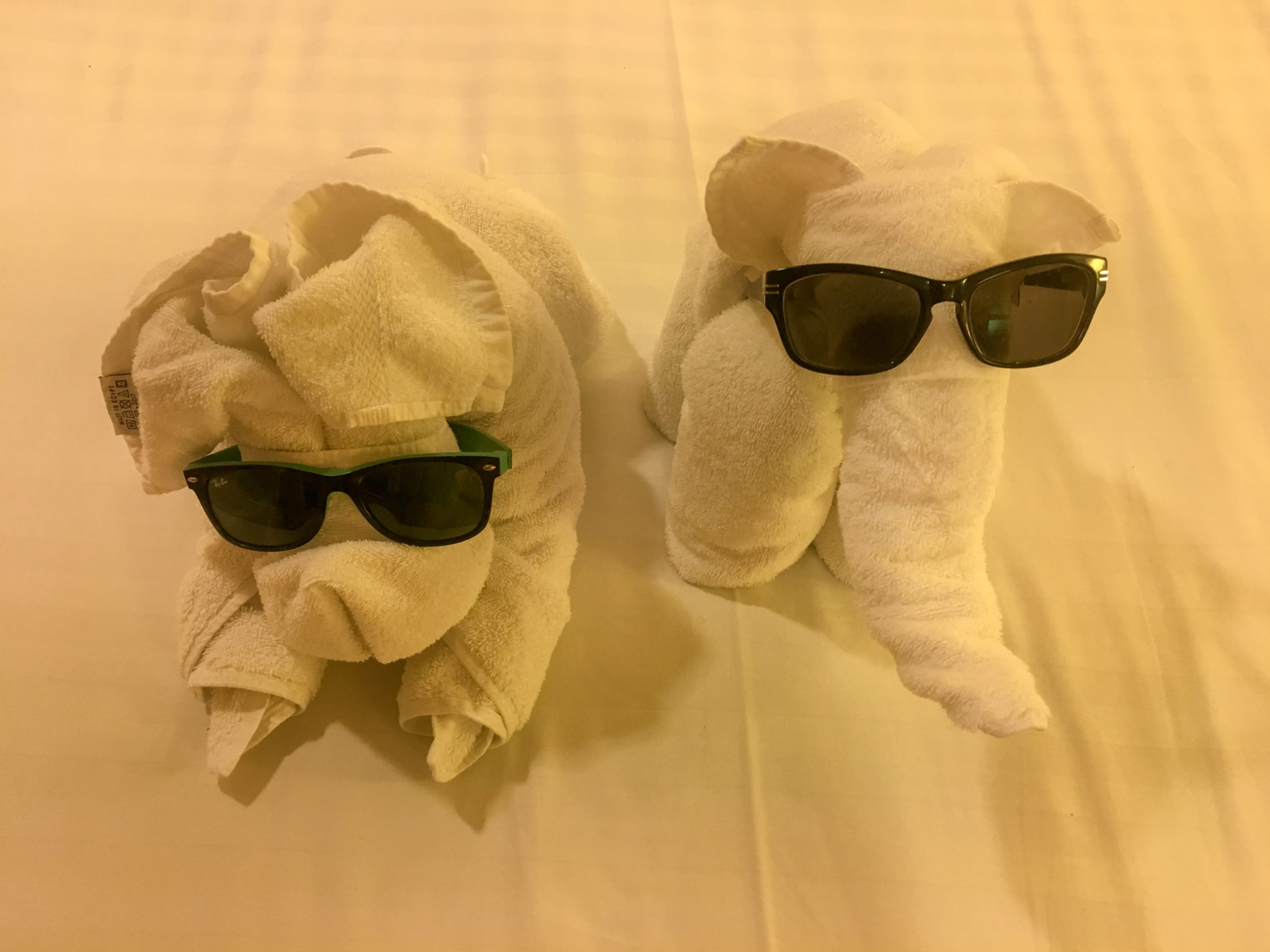 two animals made out of towels wearing sunglasses