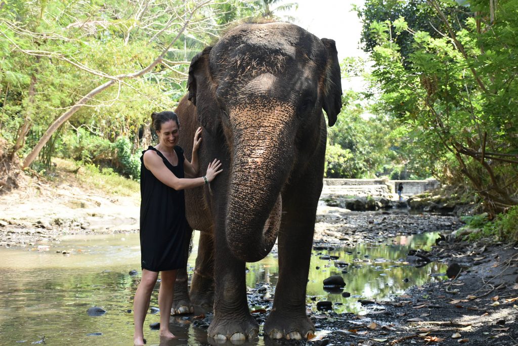 young woman in black sundress with elephant in river