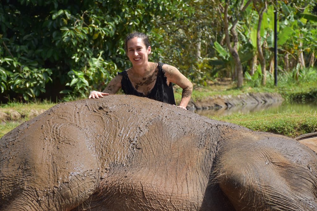 young woman leaning over an elephant which is on its side and covered in mud