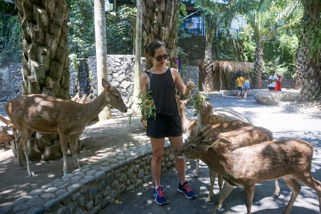 five deer surround young woman in black shorts, black singlet, blue shoes and sunglasses feeding them branches