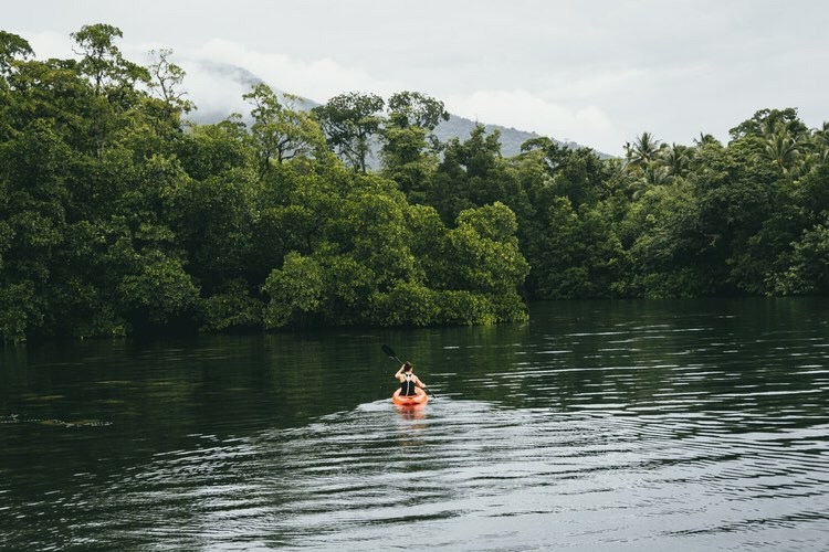 young woman in black singlet paddling an orange kayak into mangroves
