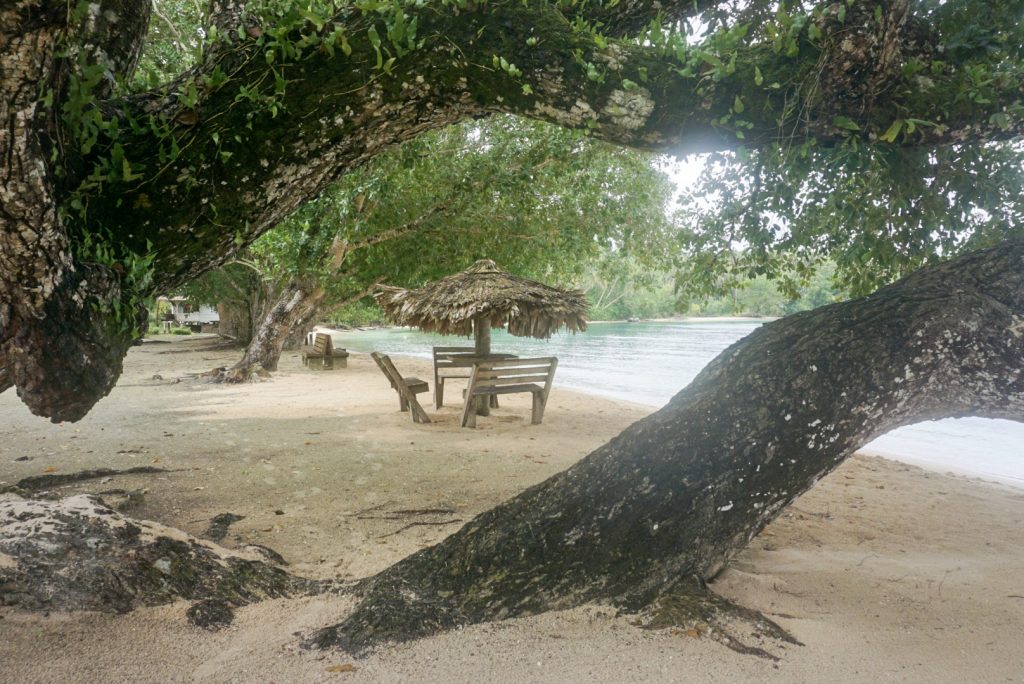 wooden table and chairs with thatched sun umbrella viewed through trees on beach beside blue water