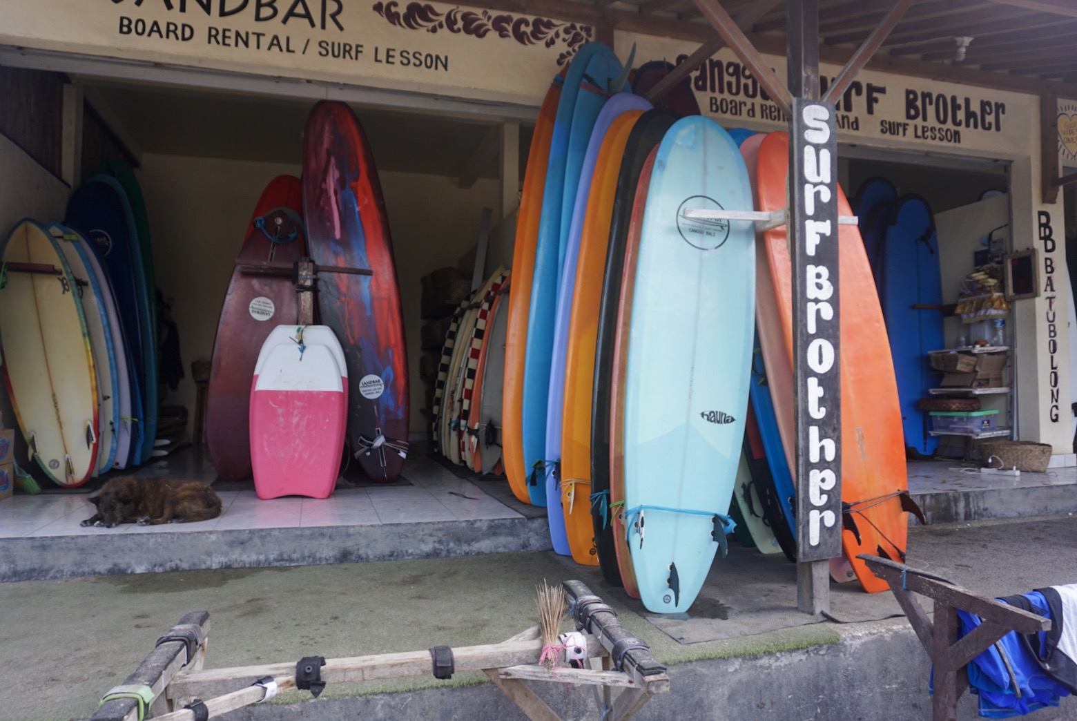 surboards stacked up for hire with a brown dog resting nearby