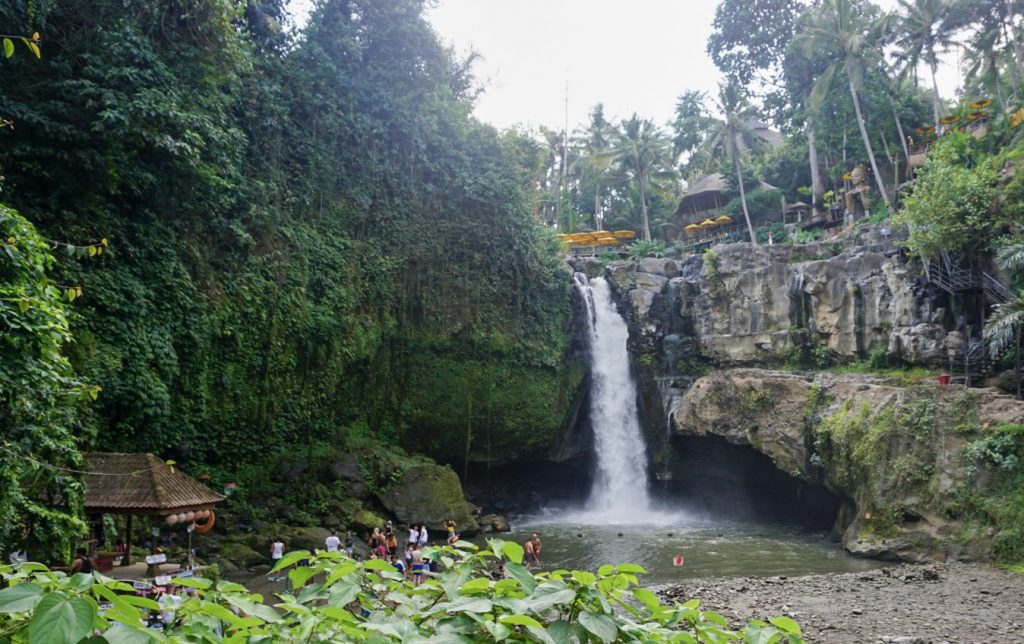waterfall in Bali