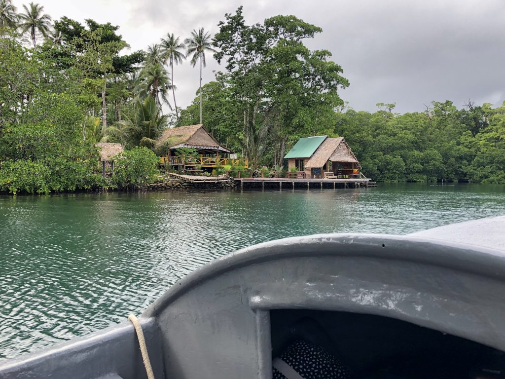 two wooden overwater bungalows among vegetation viewed from banana boat on water
