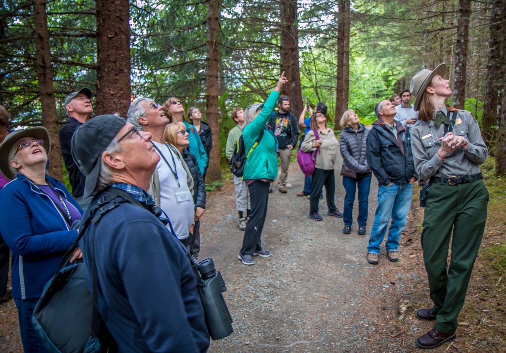 Eagle Spotting in Glacier Bay National Park, Alaska