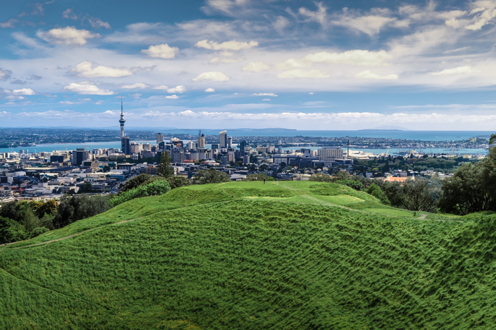 View of Auckland City and Harbour from a green hill.