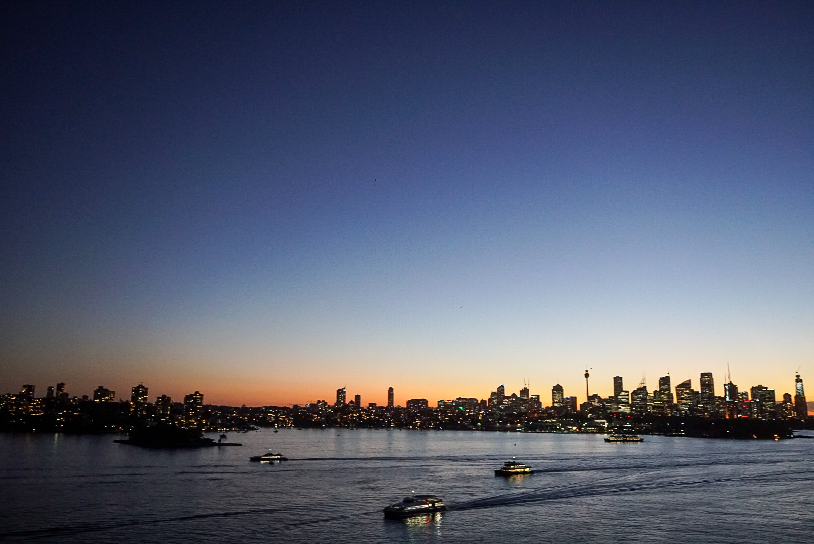 Sydney Skyline at sunset from Carnival Splendor