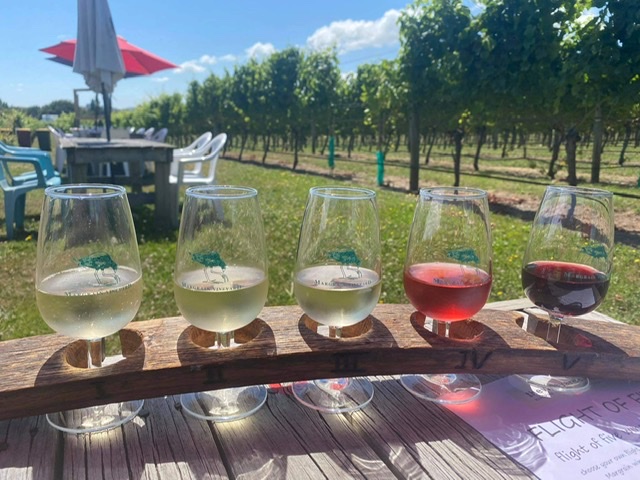 Tasting flight of five wines at Margrain vinyard martinborough