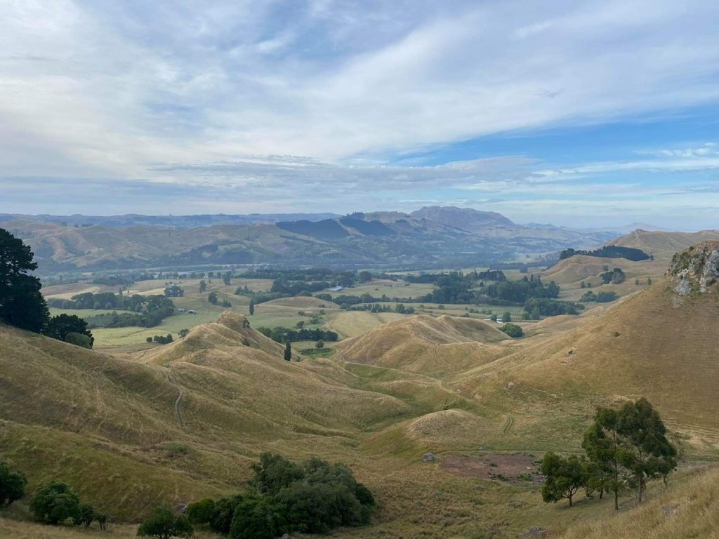 view of trees and land from te mata park hike napier