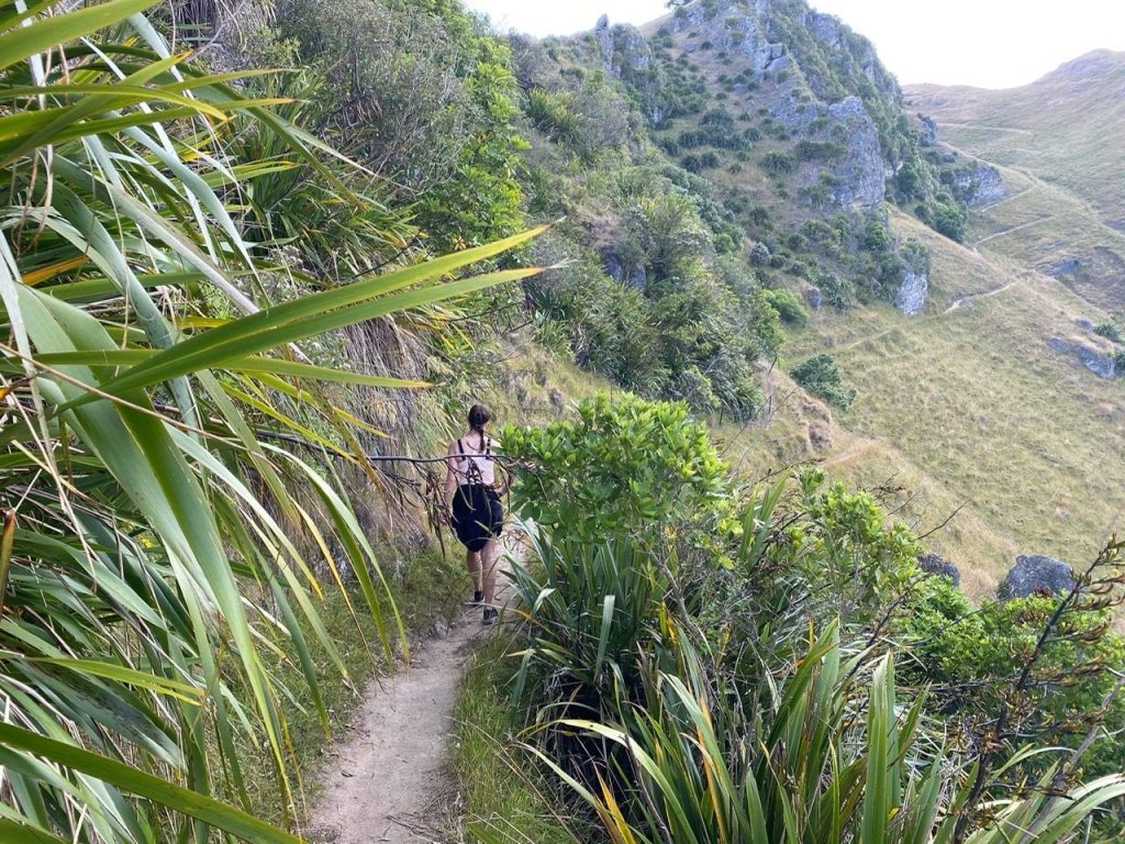 young woman on blue trail on te mata peak walk napier