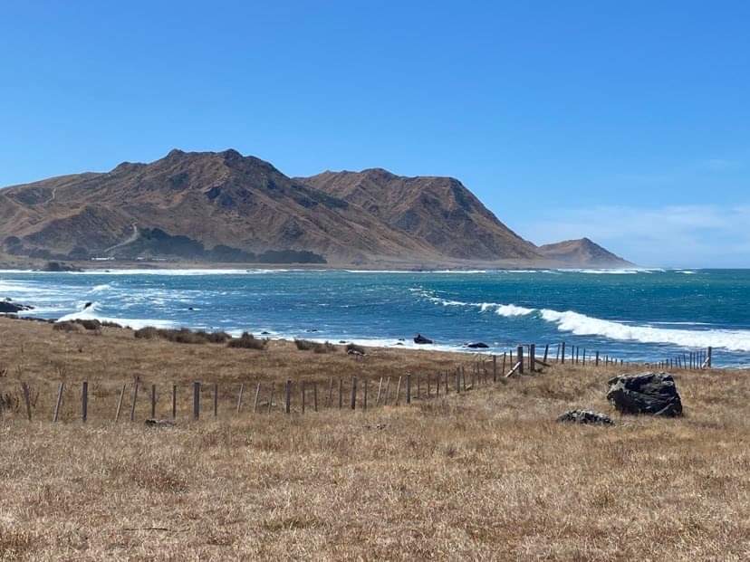 Tora beach, Wairarapa New Zealand