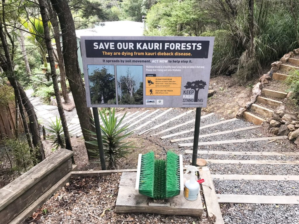 Keep Kauri standing sign and boot cleaning materials Waiheke Island