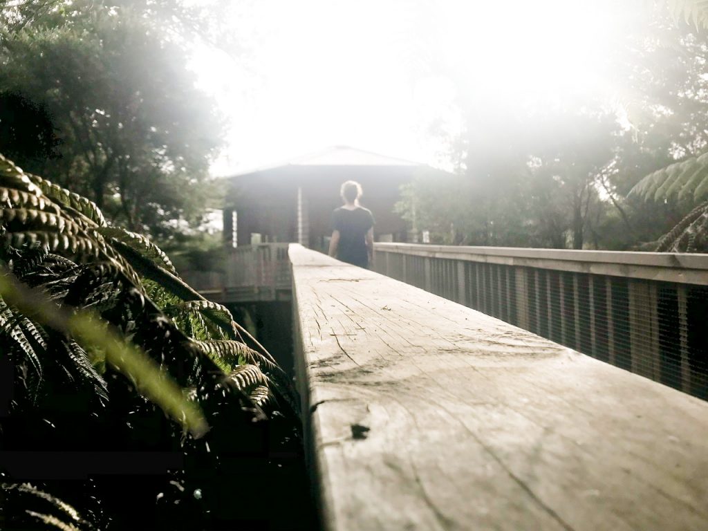 Young woman walking up wooden ramp to large treehouse among native green New Zealand trees