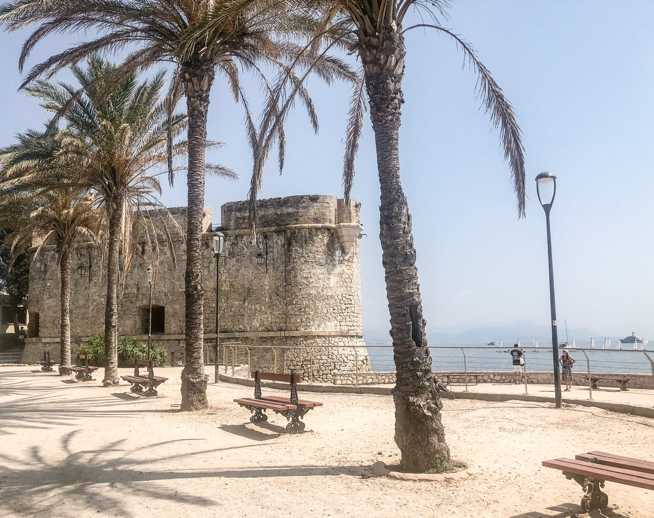 Castle shaped building in background on coast with four cabbage trees with park benches between
