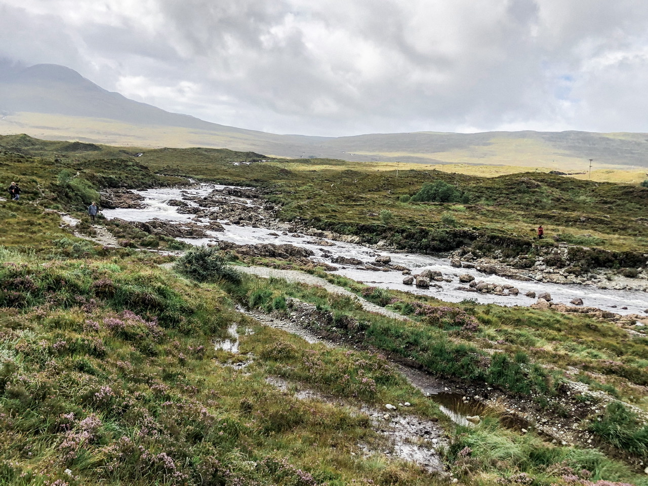 Swampy terrain in Sligachin Scotland