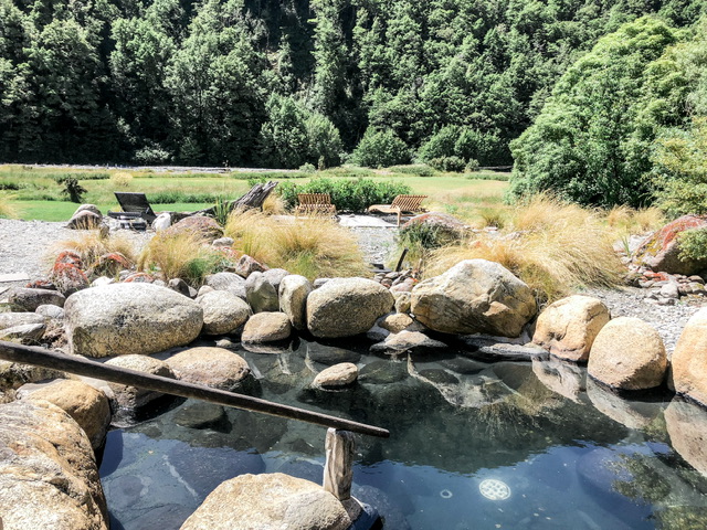 Outdoor natural hot pool with native New Zealand bush in the background