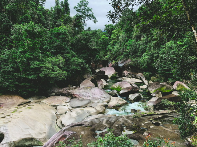 Blue rapid waters run through large boulders among rainforest