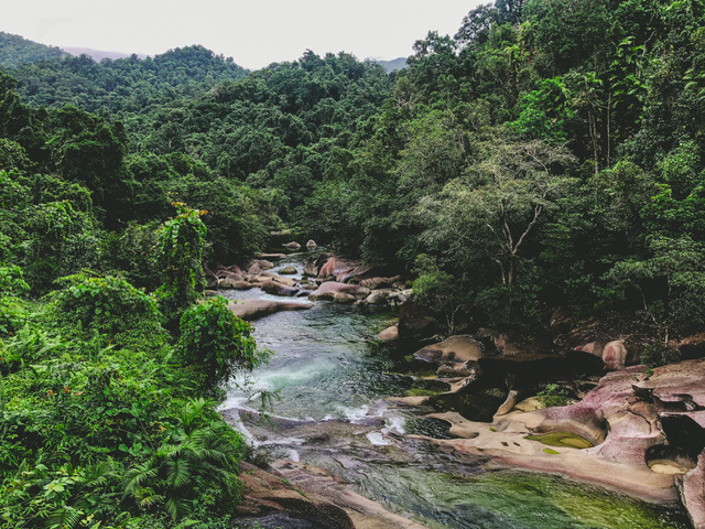 A river runs through green rainforest with large round boulders lining it