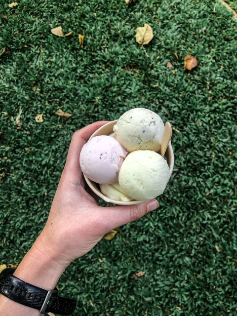 Four ice cream flavours (three scoops sitting on top of one scoop) in a paper cup being held over grass. A black watch strap is on the wrist holding the ice cream.