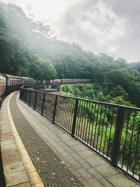 Historic Kuranda scenic railway train stopped at Barron Falls Station platform, taken from a carriage looking towards back of train exterior