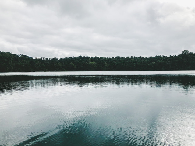 Lake Eacham, a 65m former volcanic crater lake filled with rain water with rainforest on the far side