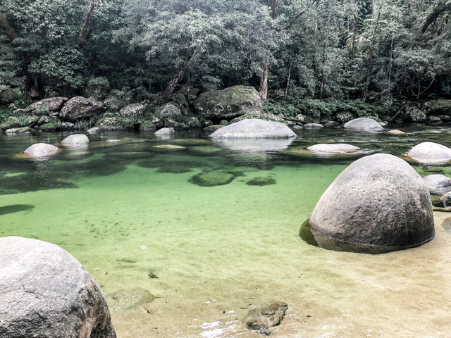 Green tinted natural pool of fresh rainwater with large round boulders in it, rainforest trees line the far side