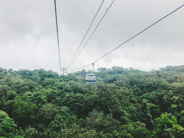 Ascending the Skyrail rainforest cableway from cairns with two cablecars coming towards the camera on the right over rainforest