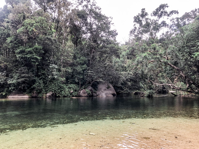 Calm river area where two rivers collide. The far side of the river is covered in green rainforest trees.