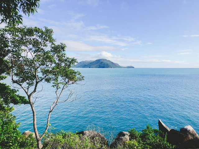 View of distant green hill over other side of water from an island with green plants on land edge