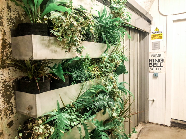 A wall with four tubs stacked vertically filled with small potted plants, a grey elevator door and a sign on the wall reading "please ring bell for lift".