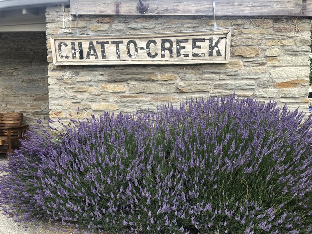 Wooden Chatto Creek sign on stone wall with Lavender bush in front