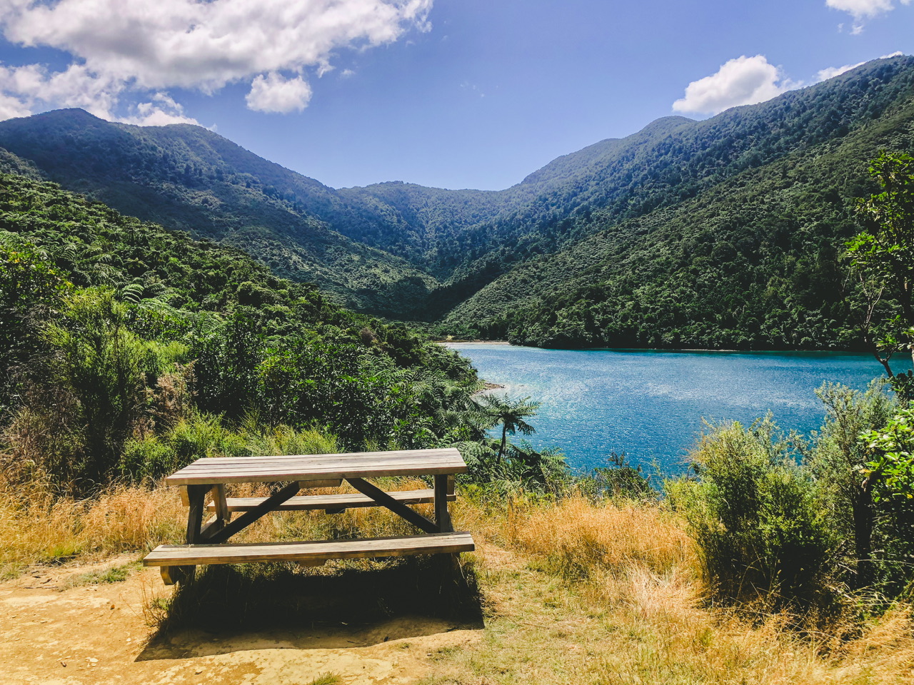 A picnic table is in the foreground, overlooking blue water of the Queen Charlotte Sound on the Queen Charlotte Track between Furneaux Lodge and Punga Cove. The land is covered in green native New Zealand bush.
