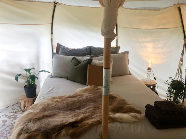 Double bed inside Sophie's Glamping tent. The bed has a white cover on it and a small fake fur on the bottom right corner and a small pile of dark towels on the right corner. Two white pillows are in front of two blue cushions with a bottle green cushion and a white cushion at the very front with a cardboard compendium. There's a fake green plant on a round of wood on the right of the bed and a lamp on a wooden table on the left as well as a green plant in a hanging basket.