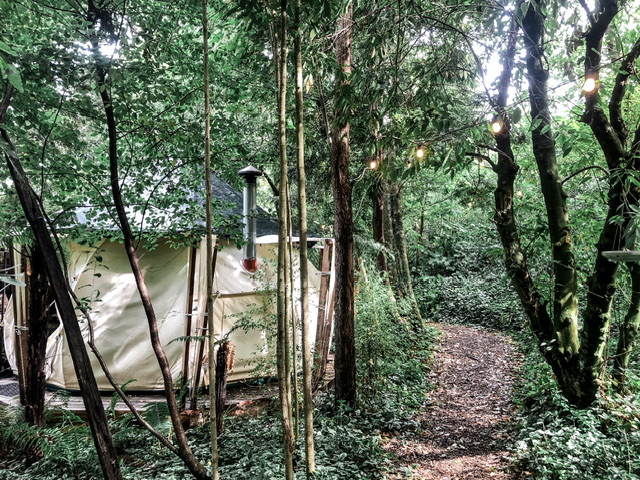 On the left of the image is the exterior of a glamping tent and on the right is a path with fairy lights lining it. Native bush surrounds.