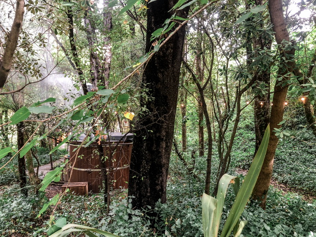 A round wooden hot tub with a black cover is off-centre on the left. It is surrounded by native New Zealand bush. Fairy lights run through the bush on the left. It's a cloudy day.