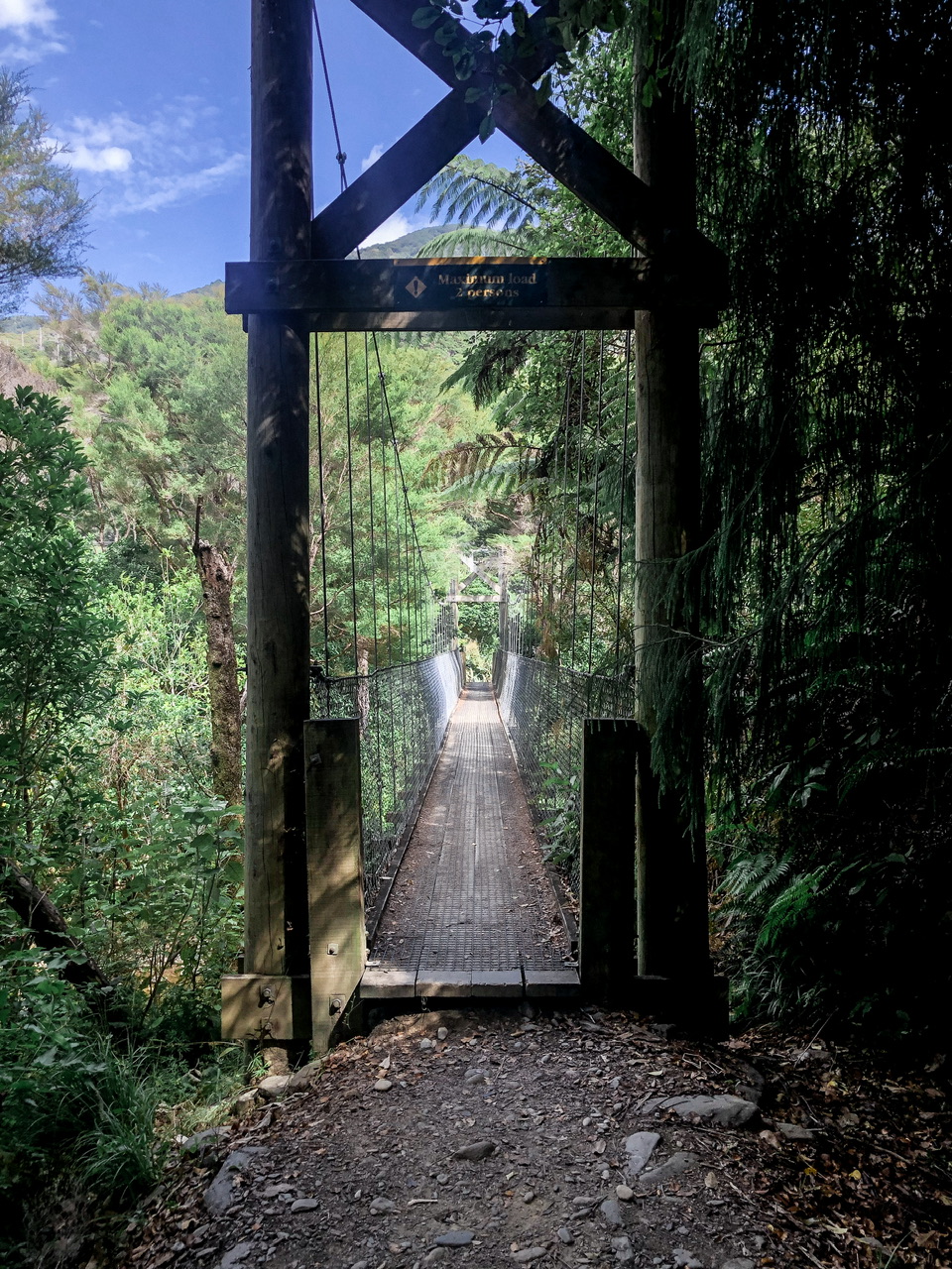 Single lane pedestrian bridge formed of wooden boards, wire netting, cables and wooden posts through native New Zealand bush
