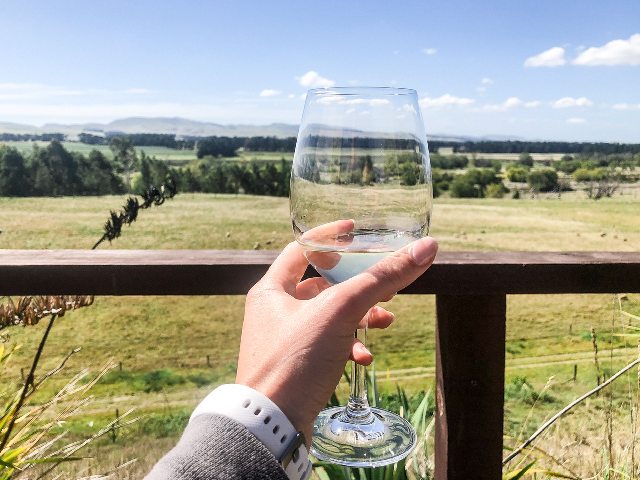 A hand wearing a white watch strap on the wrist holds a glass of white wine with green farmland in the background at Terrace End winery in Waipara.