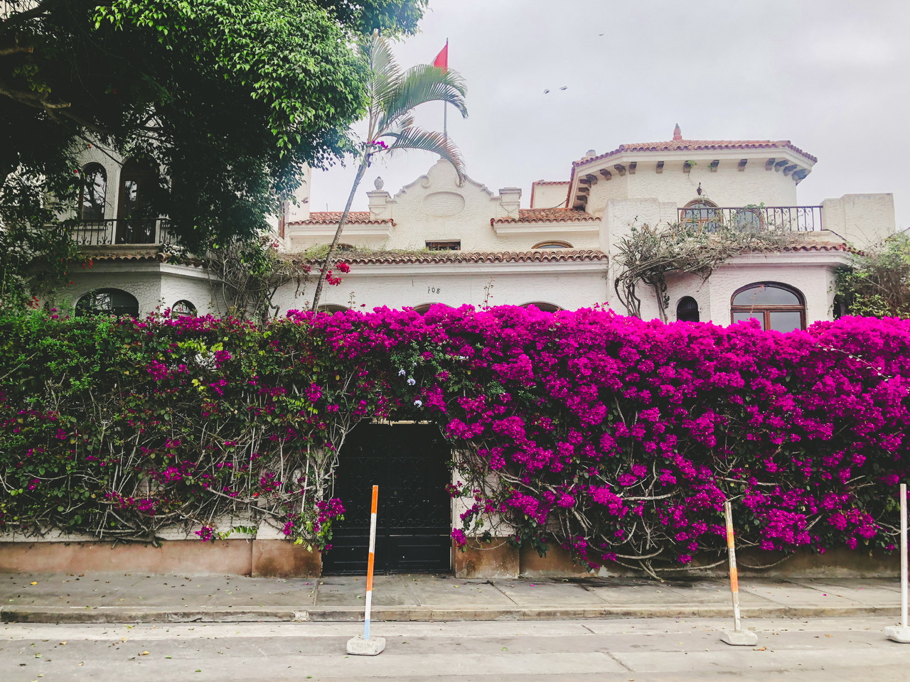 Exterior of a building in Barranco, Lima with blooming purple flowers along the exterior concrete wall