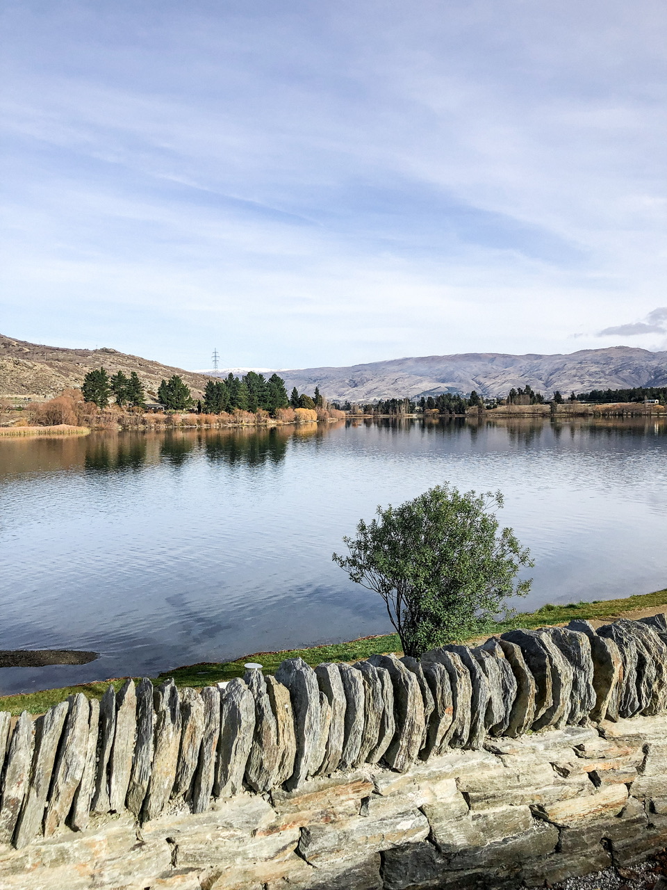 Edge of Lake Dunstan from Cromwell