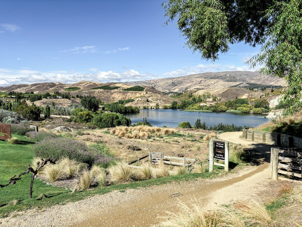 View of Lake Dunstan from Carrick Winery